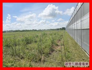 誠昱/將軍等你來買便宜農.