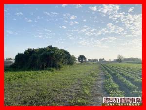 誠昱/安南安吉路都內農地