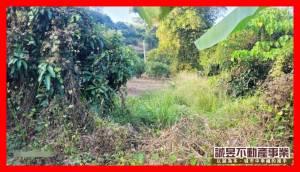 誠昱/超大農地價錢超低.