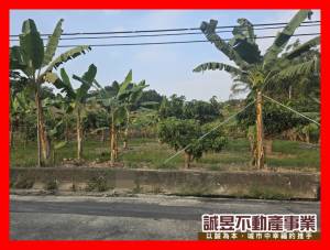 誠昱/左鎮化石館旁臨路農.