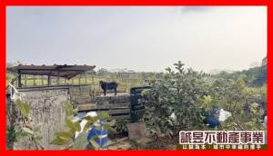 誠昱/關廟咬狗溪休閒農.