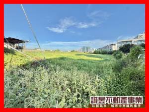 誠昱/永康自強路大坪數建地
